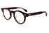 HAROLD 47size col.Demi Amber